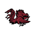 South Carolina Gamecocks