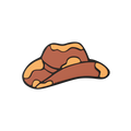 Cowboy Hat
