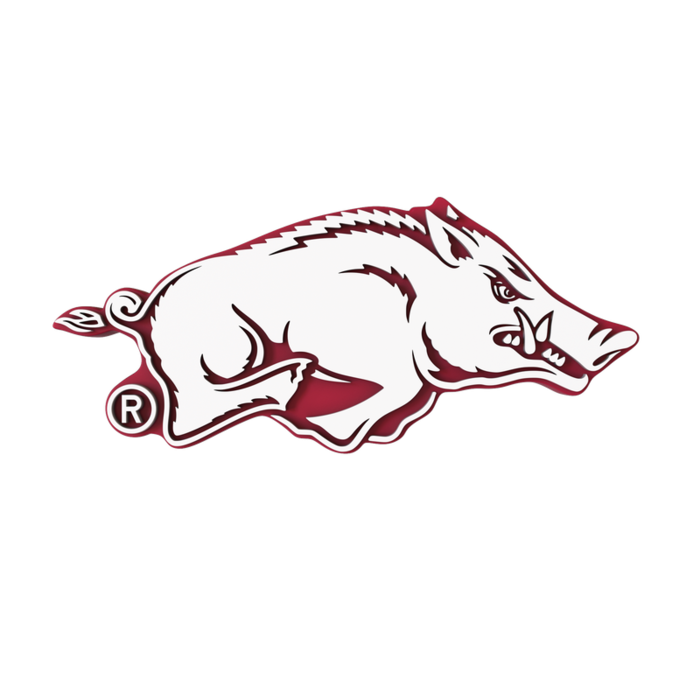 Arkansas Razorbacks
