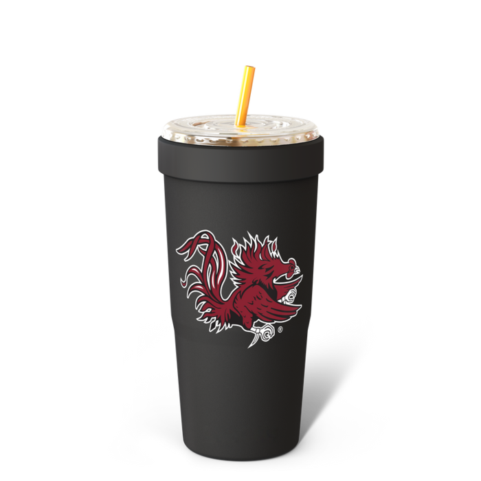 South Carolina Gamecocks Gameday