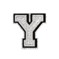 Silver Letter Y
