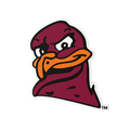 Virginia Tech Hokies