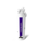32oz Colorado Rockies Gameday