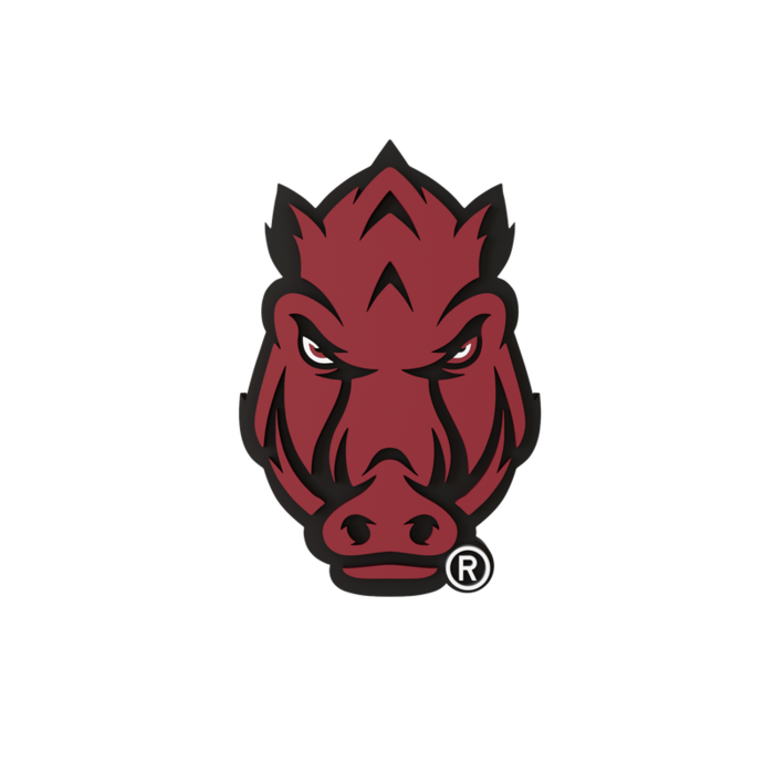 Arkansas Razorbacks