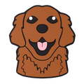 Retriever