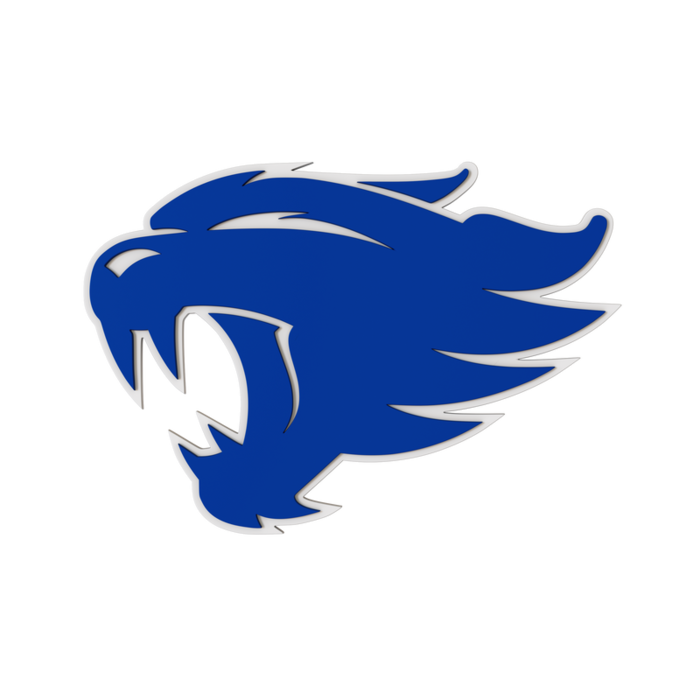 Kentucky Wildcats