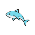 Shark