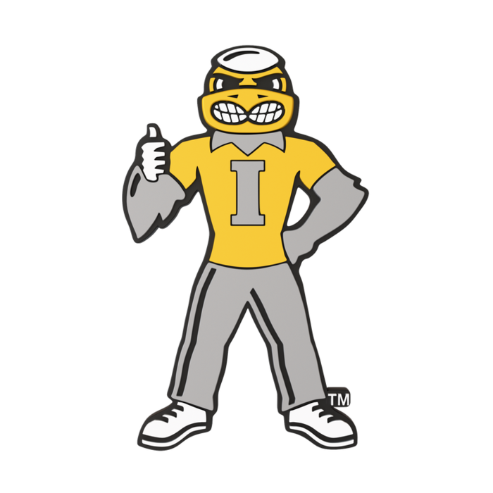 Iowa Hawkeyes