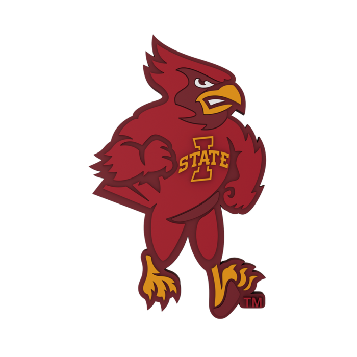 Iowa State Cyclones